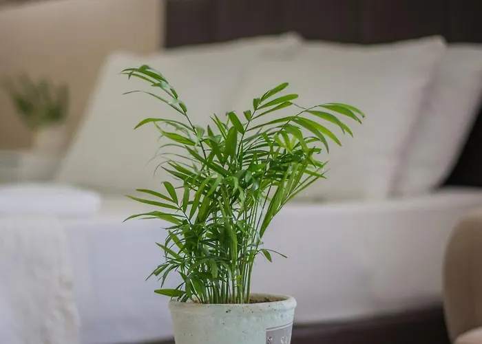 شقة فندقية Huzur Royal 3*